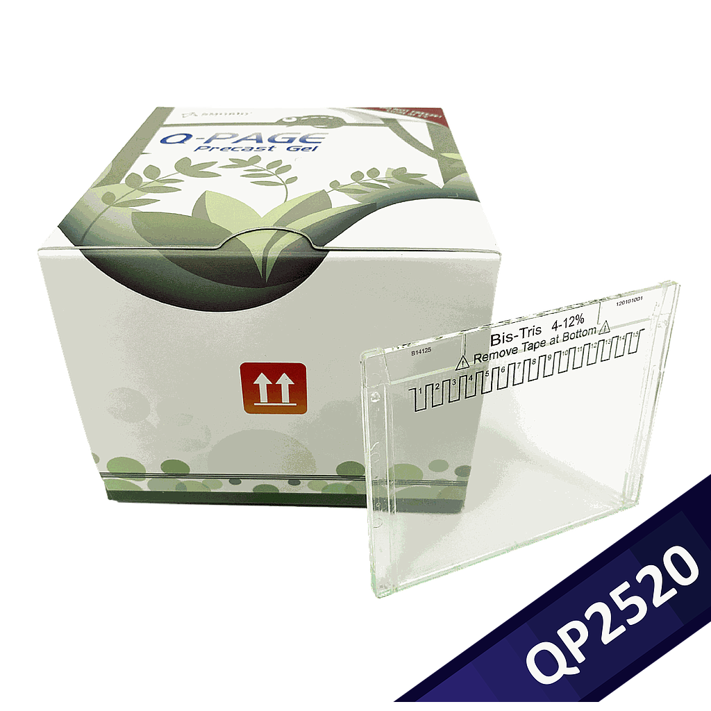 [QP2520] Q-PAGE™ Bis-Tris預鑄膠(小型, 15孔, 4-12%), 10片