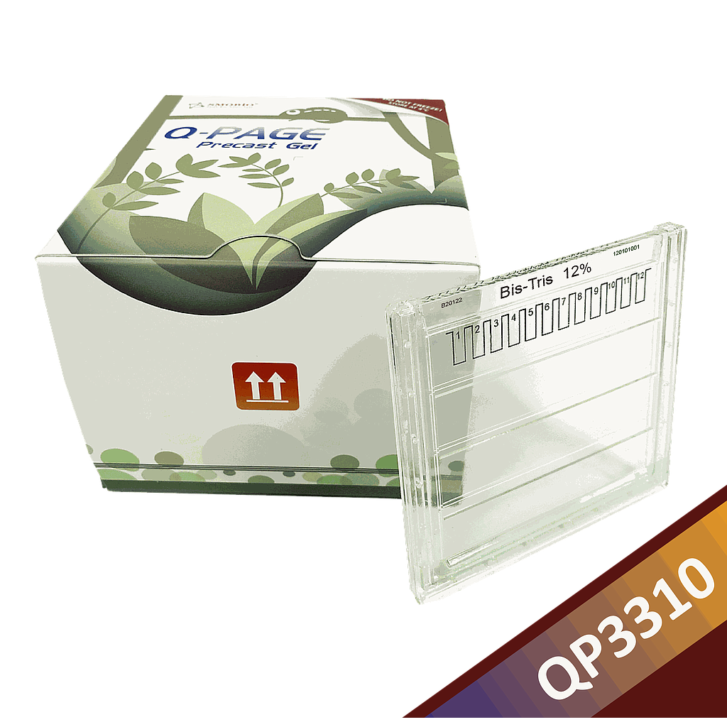 [QP3310] Q-PAGE™ Bis-Tris預鑄膠(中型, 12孔, 12%), 10片