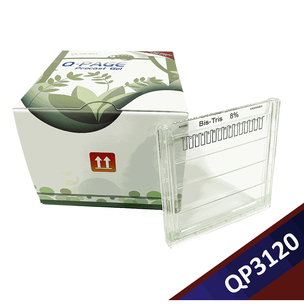 [QP3120] Q-PAGE™ Bis-Tris預鑄膠(中型, 15孔, 8%), 10片