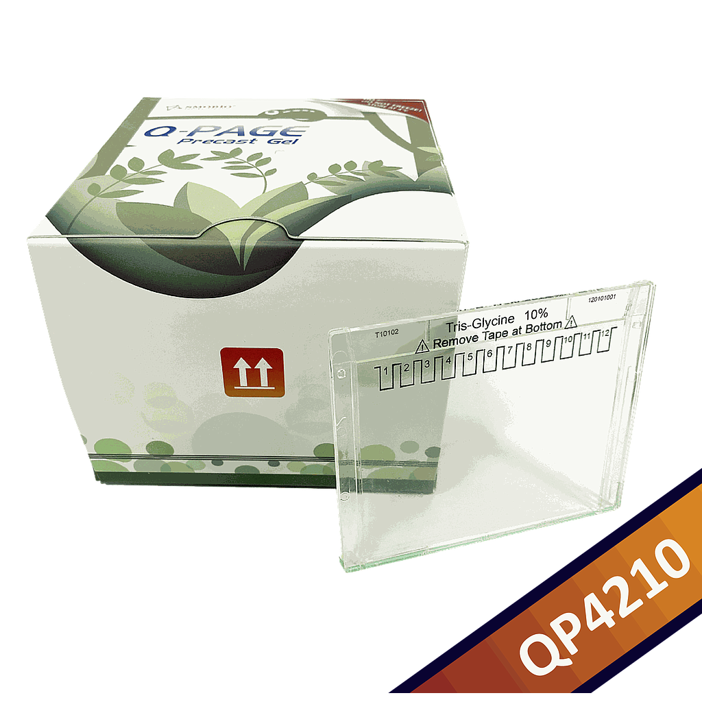 [QP4210] Q-PAGE™ TGN預鑄膠(小型, 12孔, 10%), 10片