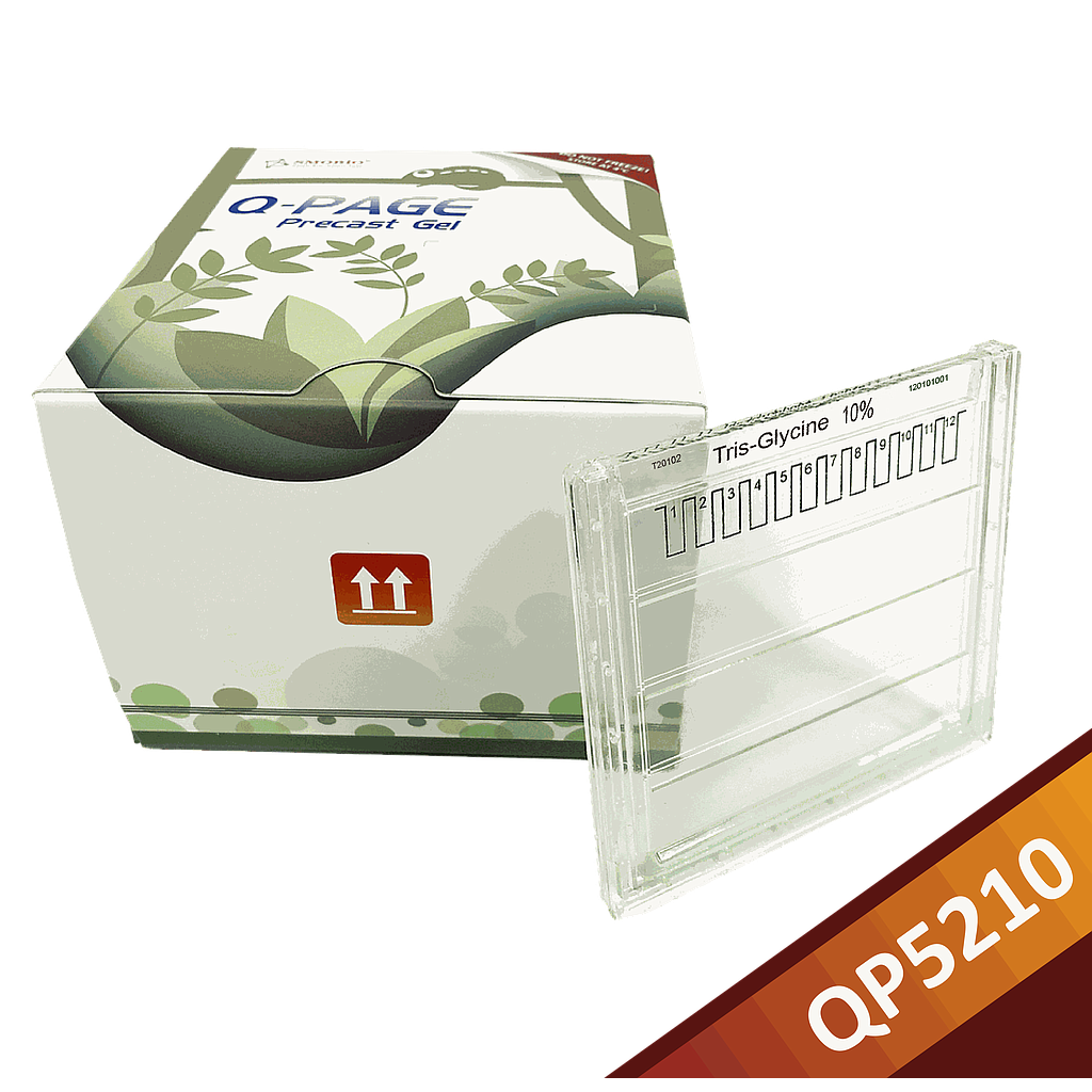 [QP5210] Q-PAGE™ TGN預鑄膠(中型, 12孔, 10%), 10片