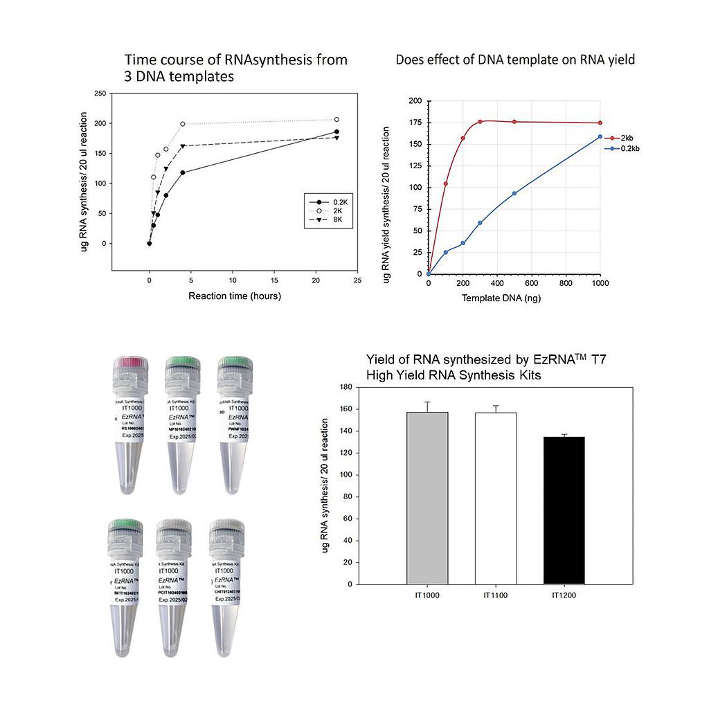 [IT1000] EzRNA™ T7 高產量RNA合成試劑盒, 50 RXN