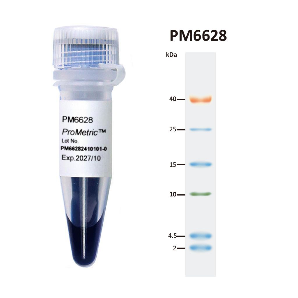 [PM6628] ProMetric™三彩低範圍蛋白質分子量標記, 2 to 40 kDa, 250 μl