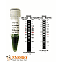 [DM2400] AccuBand™ 100 bp + 3K DNA分子量標記Ⅱ, 500 μl