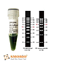 [DM2200] AccuBand™ 100 bp DNA分子量標記Ⅱ, 500 μl